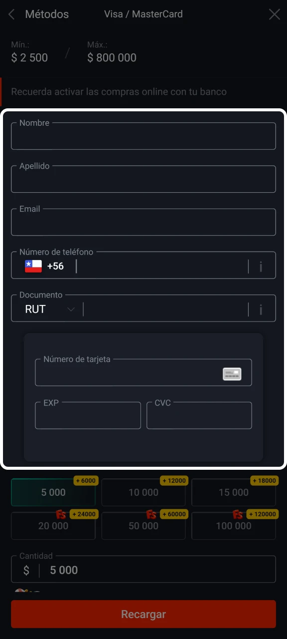 Introduce tus datos de pago para realizar un depósito en Pin-Up.