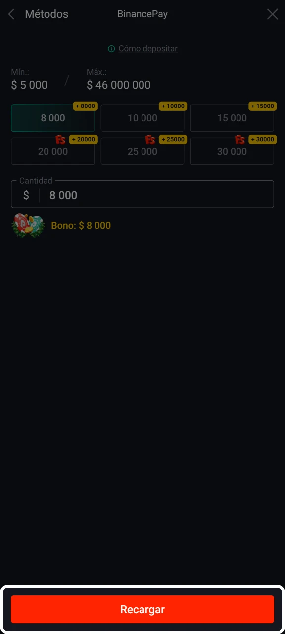 Finaliza la transacción de depósito en el sitio web de Pin-Up.