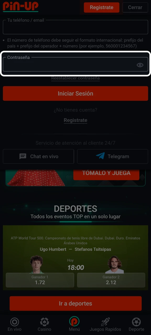 Introduce tu contraseña en el formulario de inicio de sesión de Pin-Up.