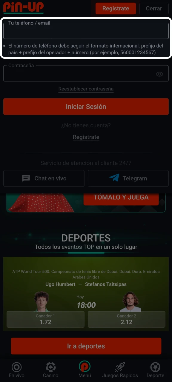 Introduce tu correo electrónico o número de teléfono para iniciar sesión en Pin-Up.