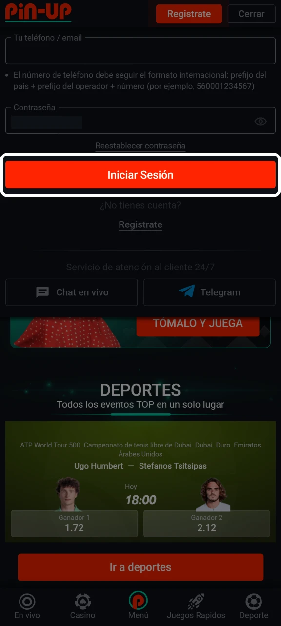 Confirma tu inicio de sesión haciendo clic en el botón de Pin-Up.
